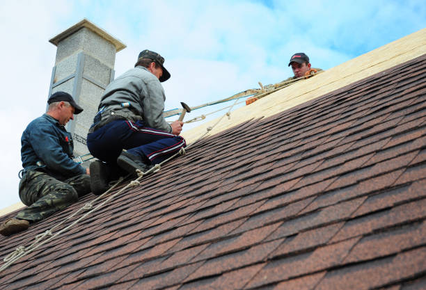 Best Roof Repair Services  in North Manchester, IN
